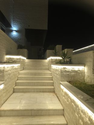 Nexi 120TF LED Neon Light Dlux Flat Surface Neon Nexi 120TF LED Neon Light Dlux Flat Surface Neon
